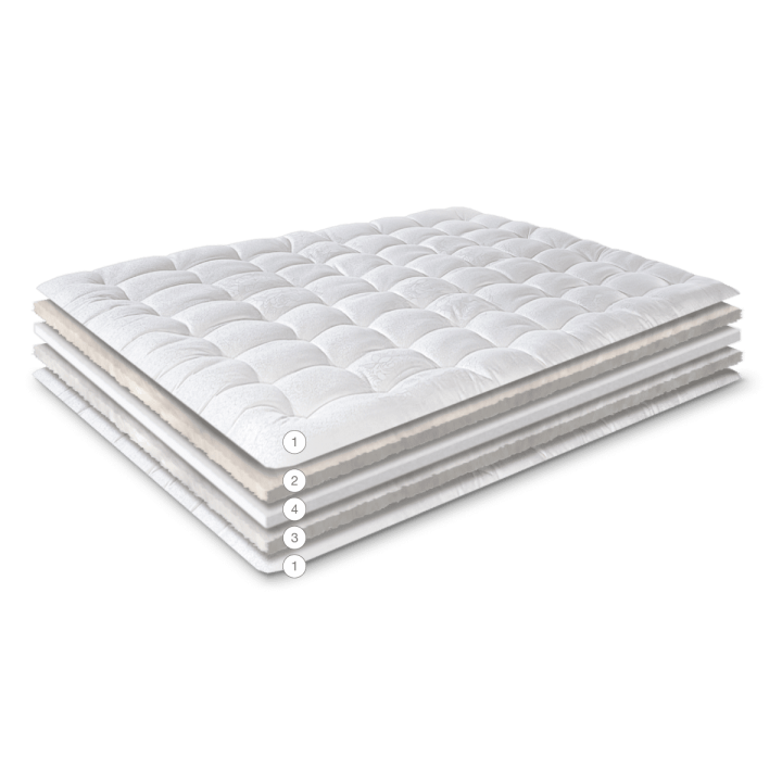 TOPPER NERVA  ASTRAL NATURE 2026